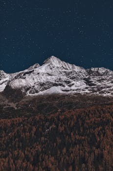 在茂密森林的上方，清澈的星光熠熠天空下，矗立着雄伟的雪山