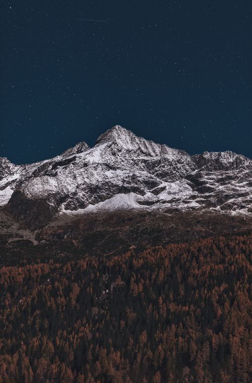 Free Majestic snowy peaks under a clear, star-filled sky above a dense forest. Stock Photo