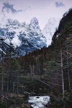 宁静的雪山和森林小溪构成了一幅平和的冬日景象