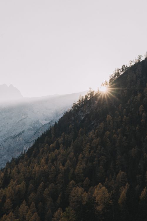 Free Captured at sunrise, the sun peeks over a dense forest on a mountain slope. Stock Photo