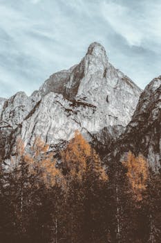 Stunning mountain peak rising above autumn-colored trees under a cloudy sky.