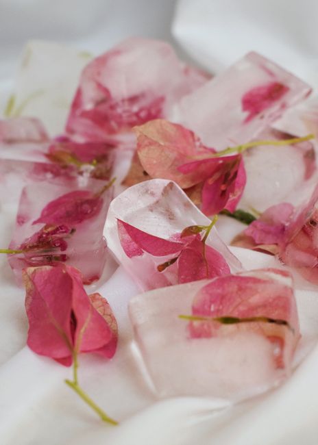 Beautiful arrangement of pink petals frozen in ice cubes, perfect for creative decoration.