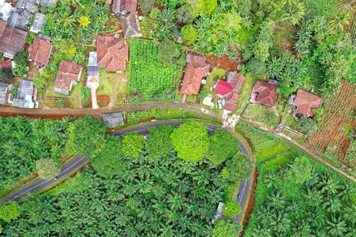 Ingyenes stockfotó drónfelvételek, fák, falu témában