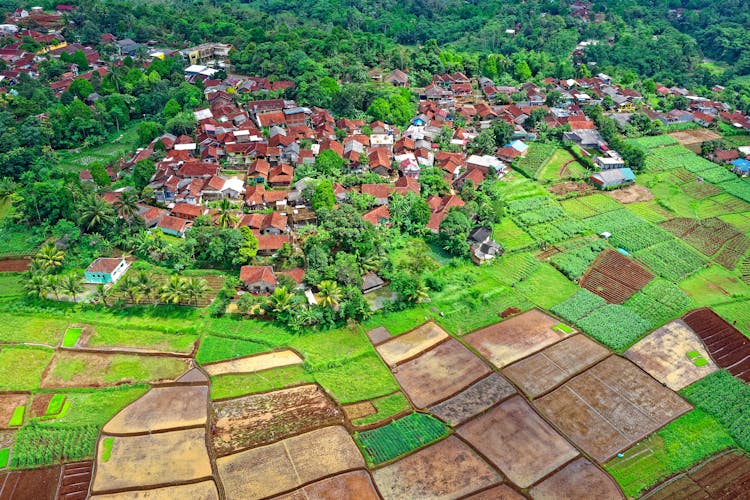 Aerial Photo Of Houses