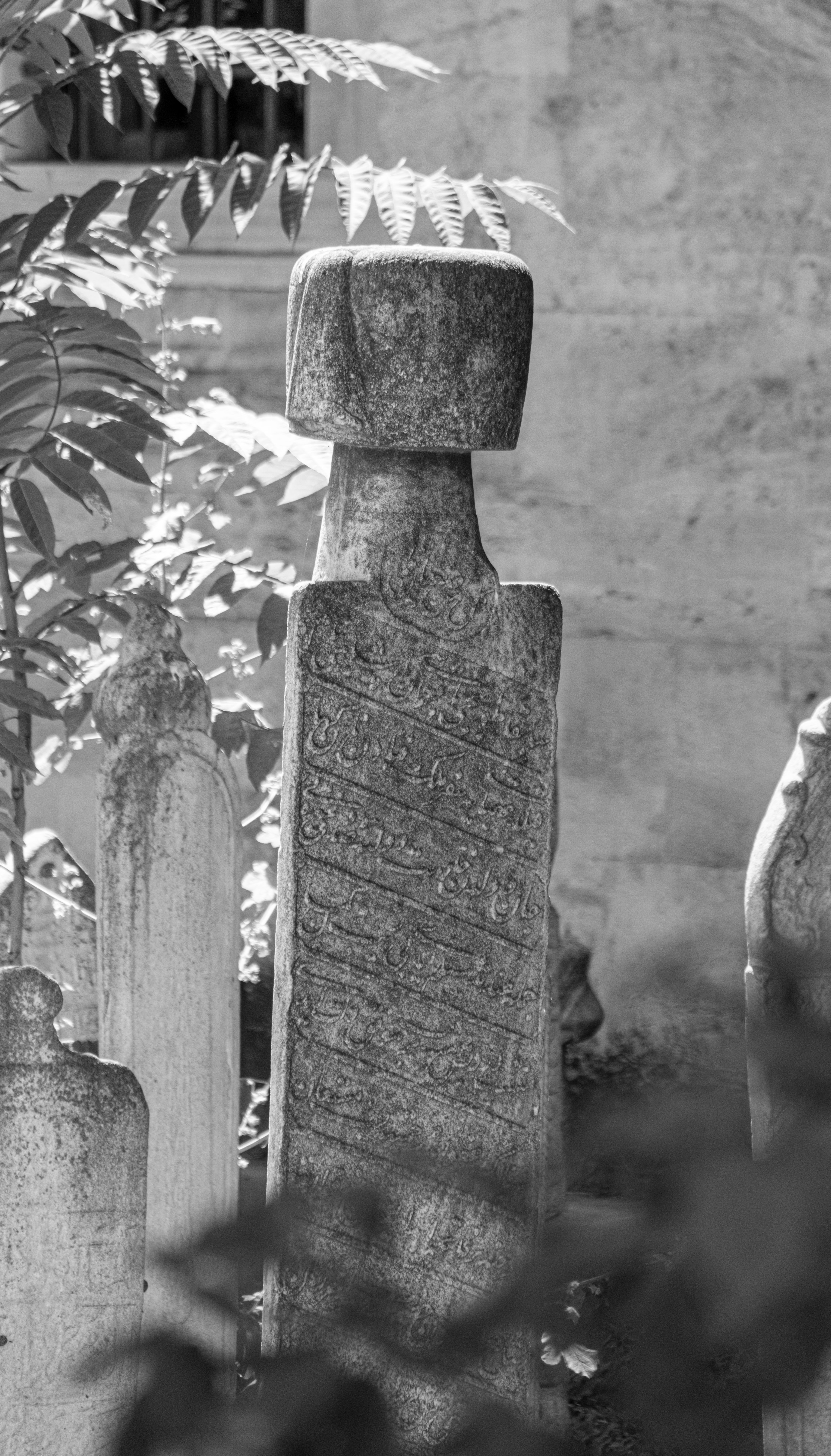 Black and white photo of ancient tombstones in a peaceful cemetery setting with foliage.