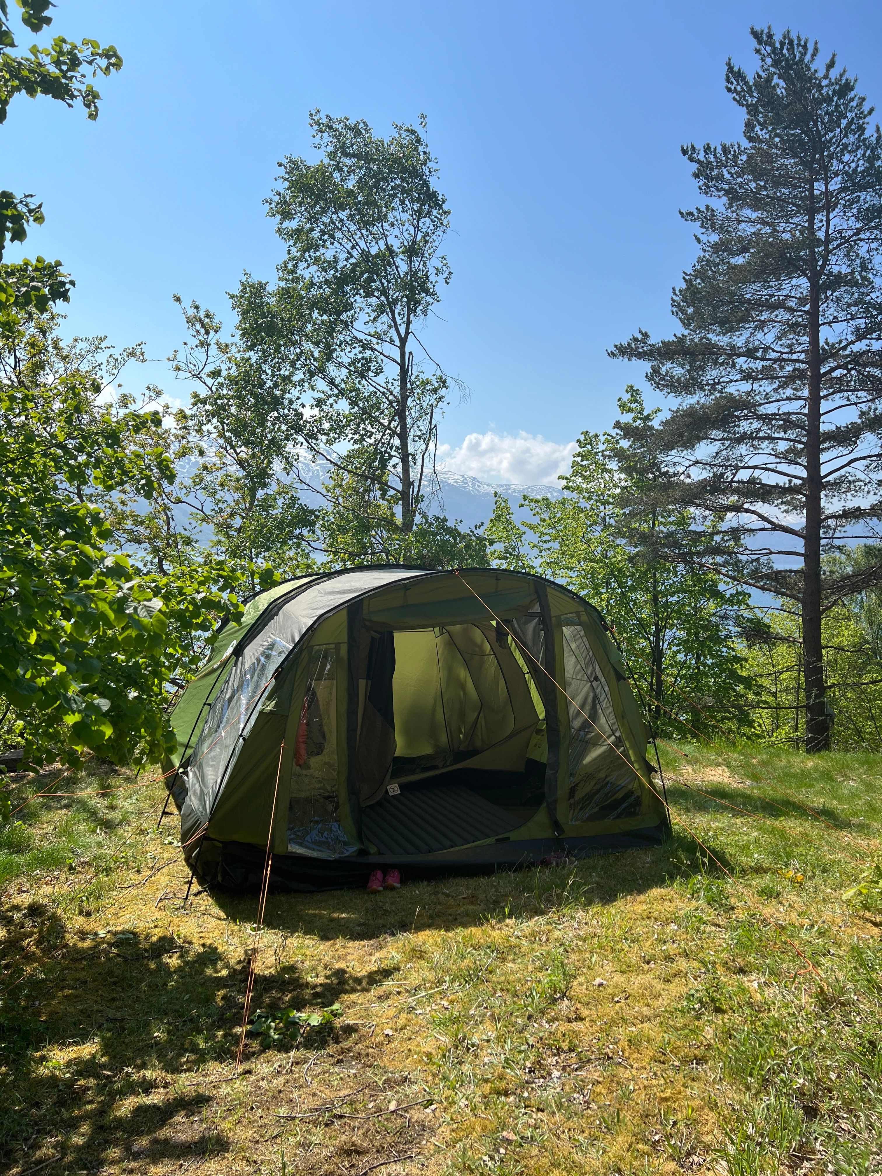 An olive green tunnel tent with its door open on a sunny hillside