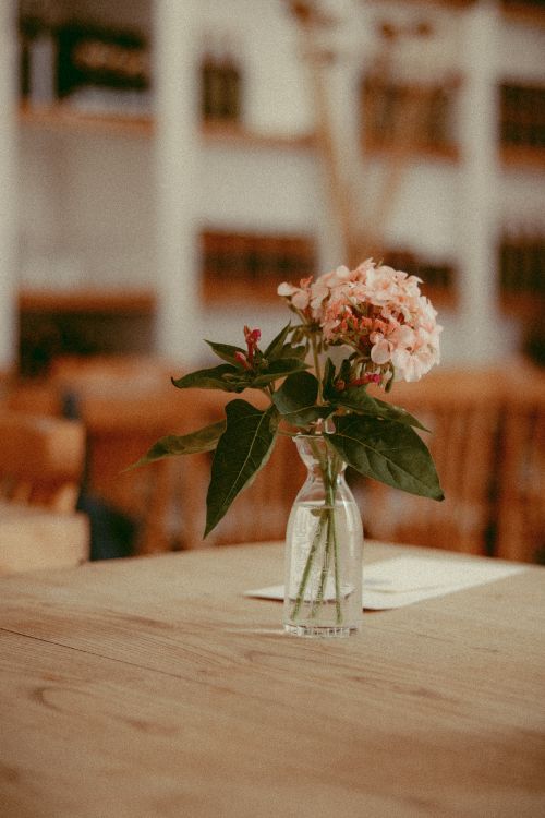 Free Charming pink flowers in a glass vase on a wooden table, creating a warm and inviting atmosphere. Stock Photo
