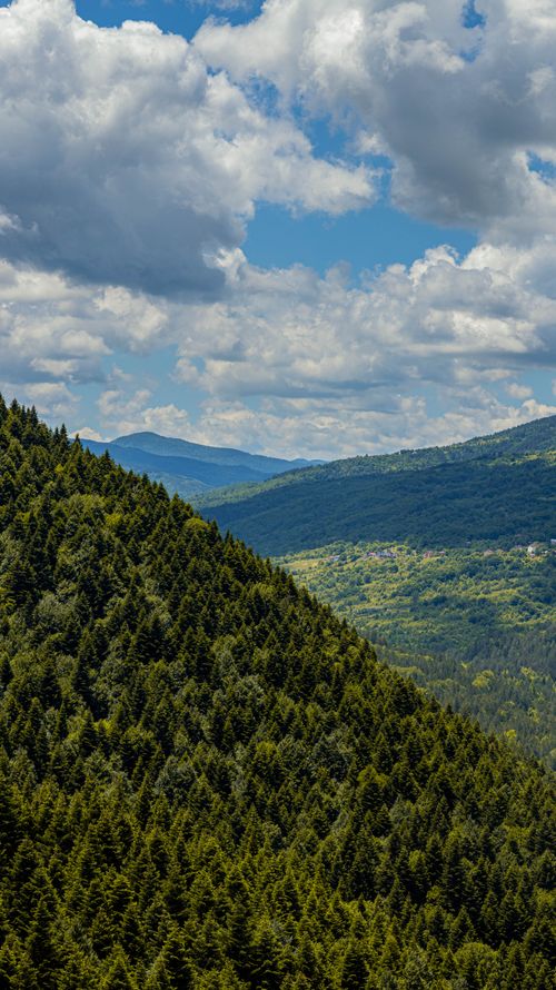 Free Discover the stunning view of forested mountains under a vibrant sky, offering a serene natural escape. Stock Photo
