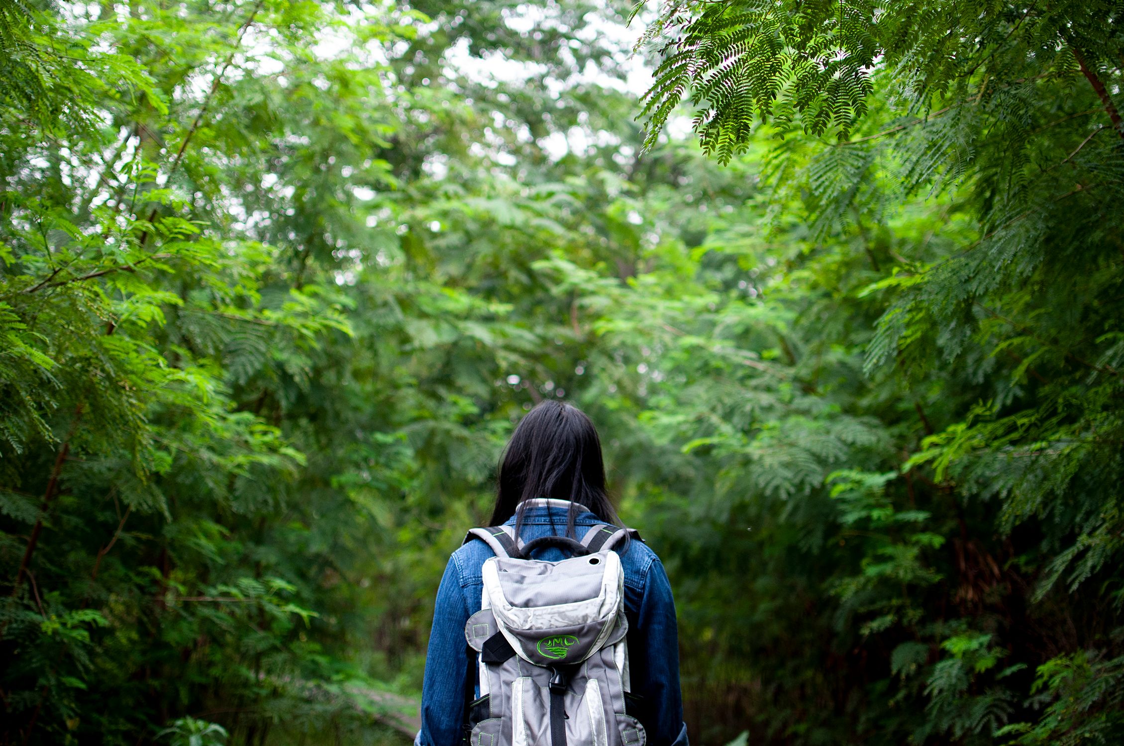 Girl with a Backpack Walking through the Forest · Free Stock Photo