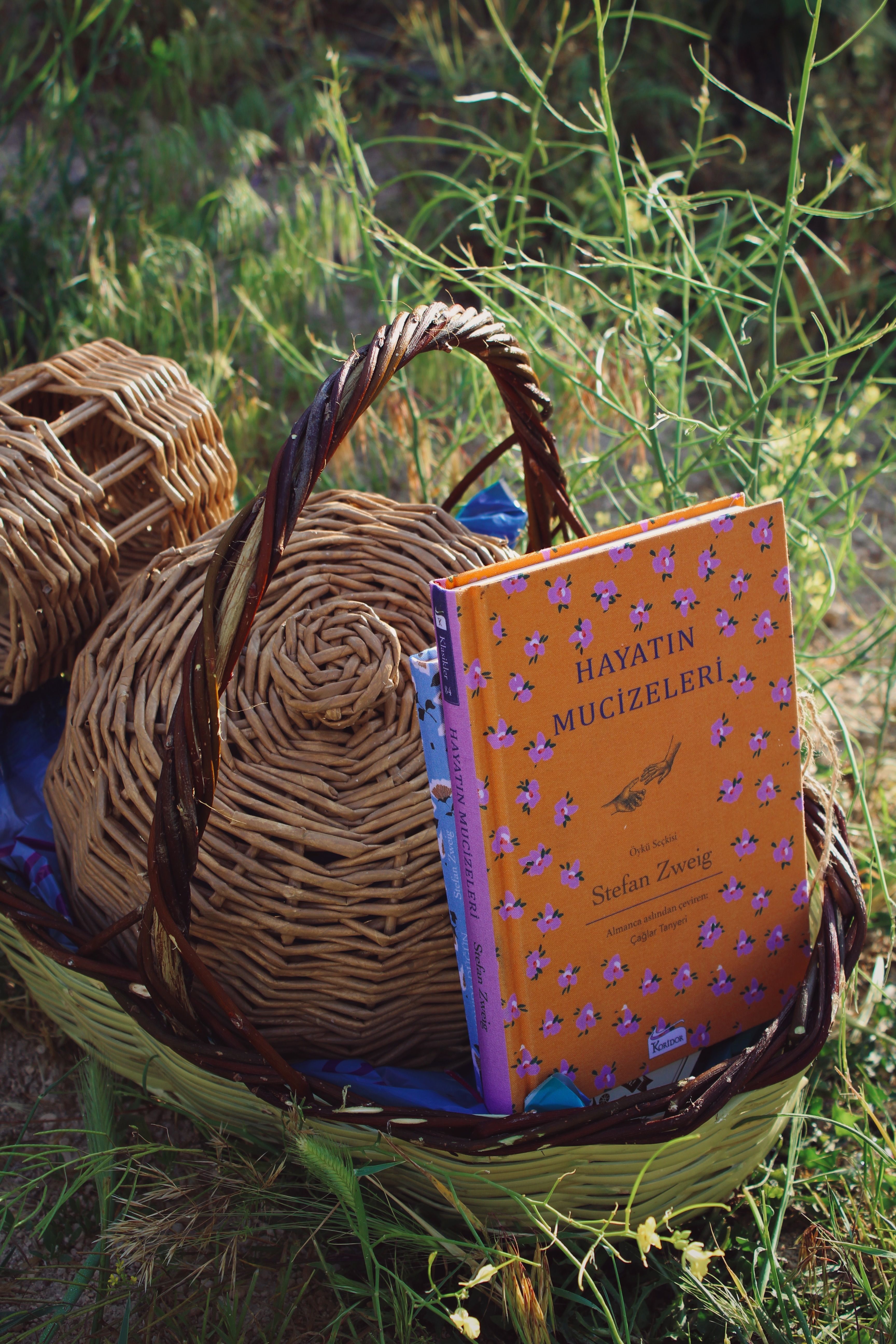 A wicker basket containing a book set in lush outdoor greenery during summer.