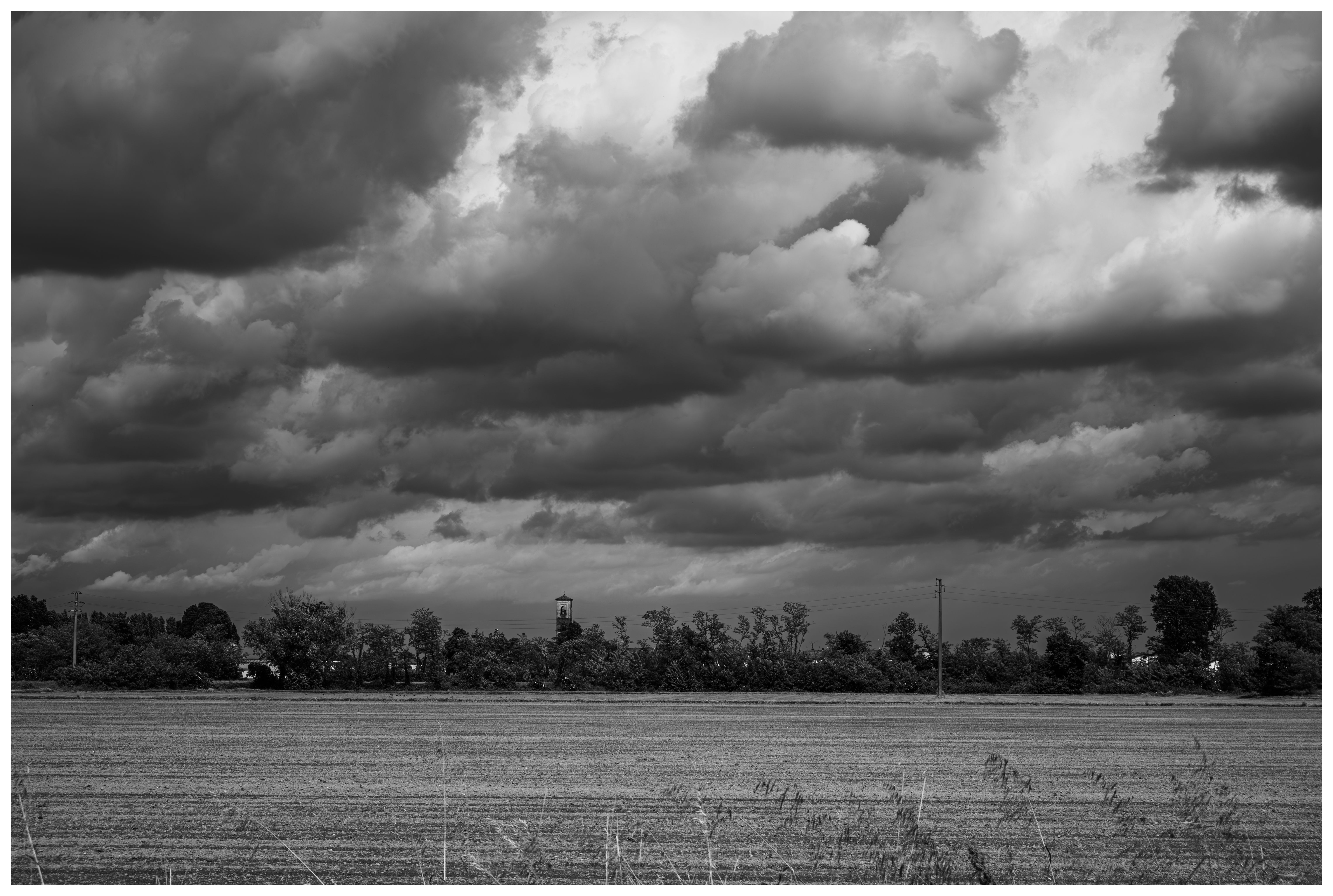 Black and White Photo of a Crop under a Dark, Cloudy Sky · Free Stock Photo