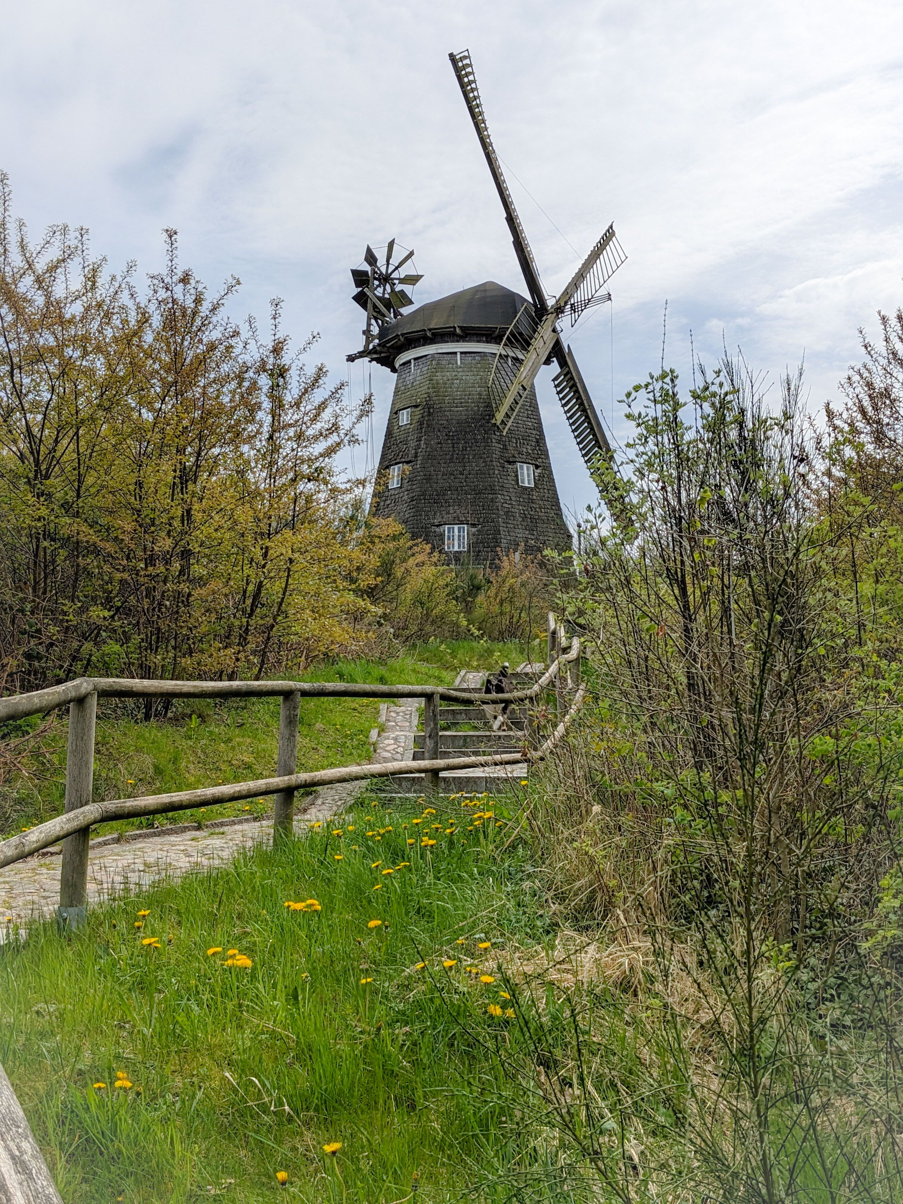 A trail leading to an old wooden windmill in the countryside