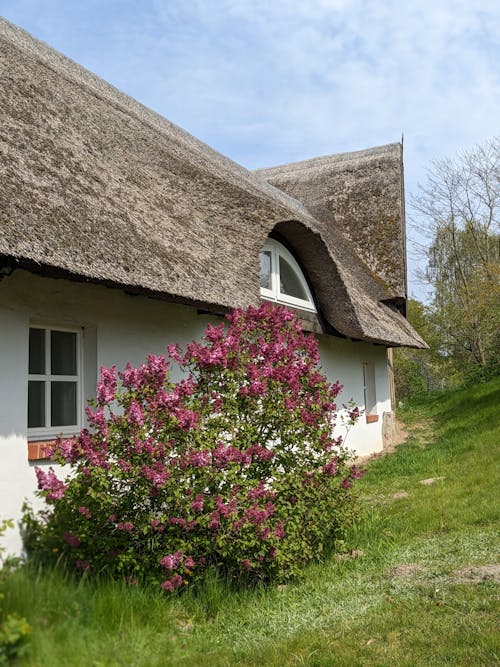 A Cottage with a Thatched Roof 