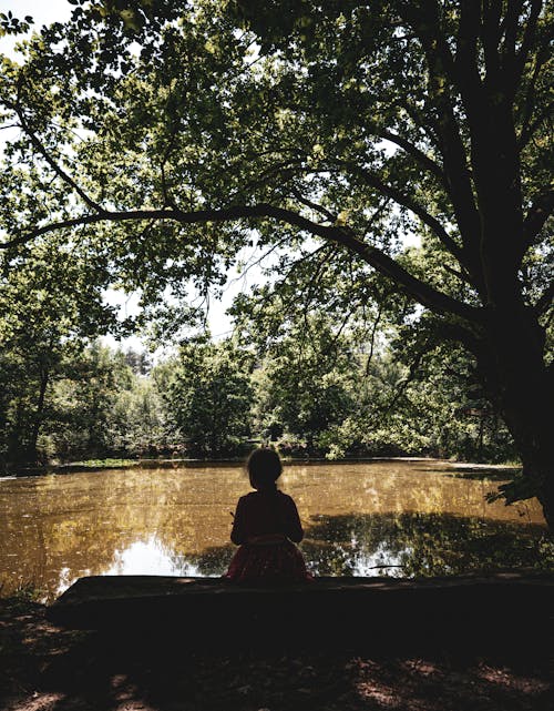 Back View of a Girl sitting by the Pond in a Park 