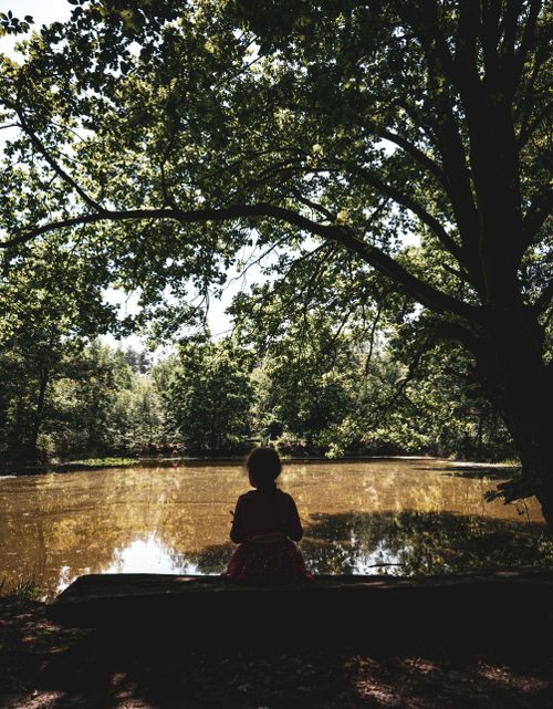 Free A child sits by a calm pond, surrounded by lush trees under the summer sunlight. Stock Photo