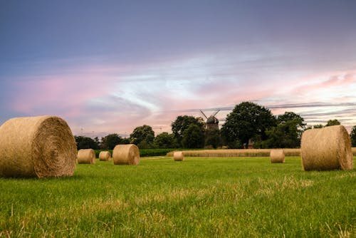 Hay Bales on the Field at Sunset 
