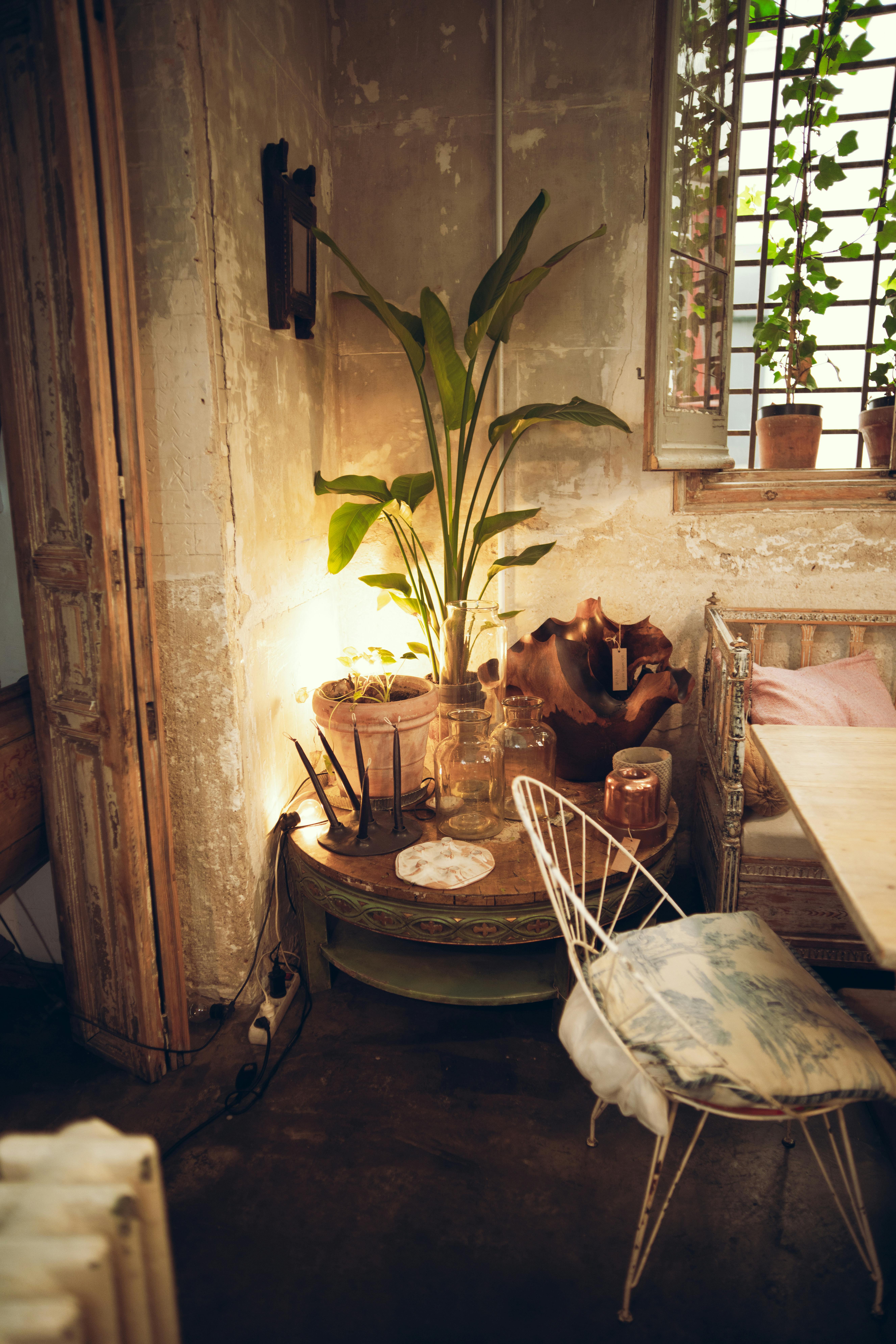 Free A warmly lit interior featuring a vintage chair and table with potted plants for a cozy ambiance. Stock Photo