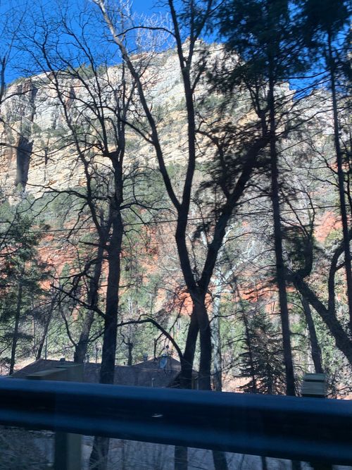 Free stock photo of nature, trees Stock Photo