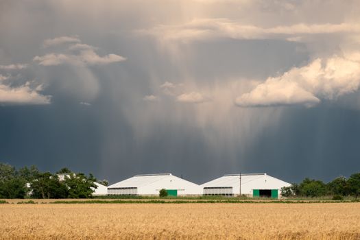 Ottawa Drenched: City Sees a Whopping 110mm of Rain on Canada Day