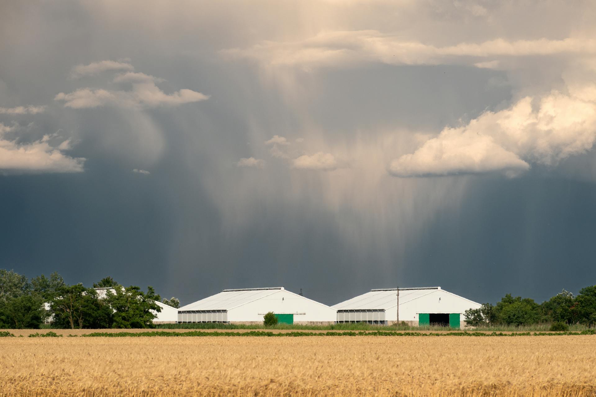 A rural farm scene with dramatic storm clouds gathering over white buildings and a wheat field.