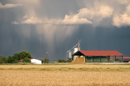 Foto stok gratis agrikultura, awan hujan, bangunan