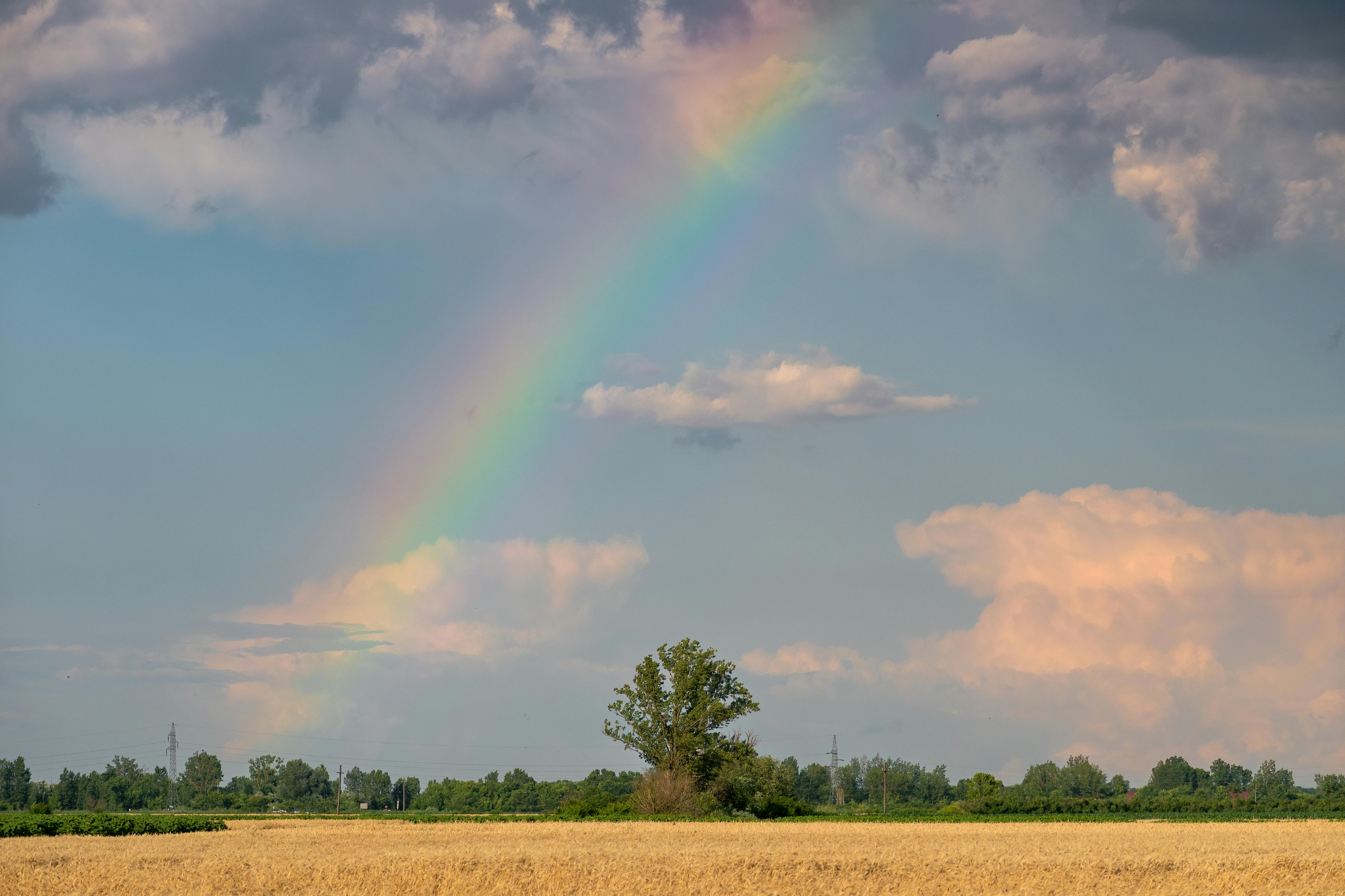 A vivid rainbow arcs over a tranquil rural field, emphasizing nature's beauty.