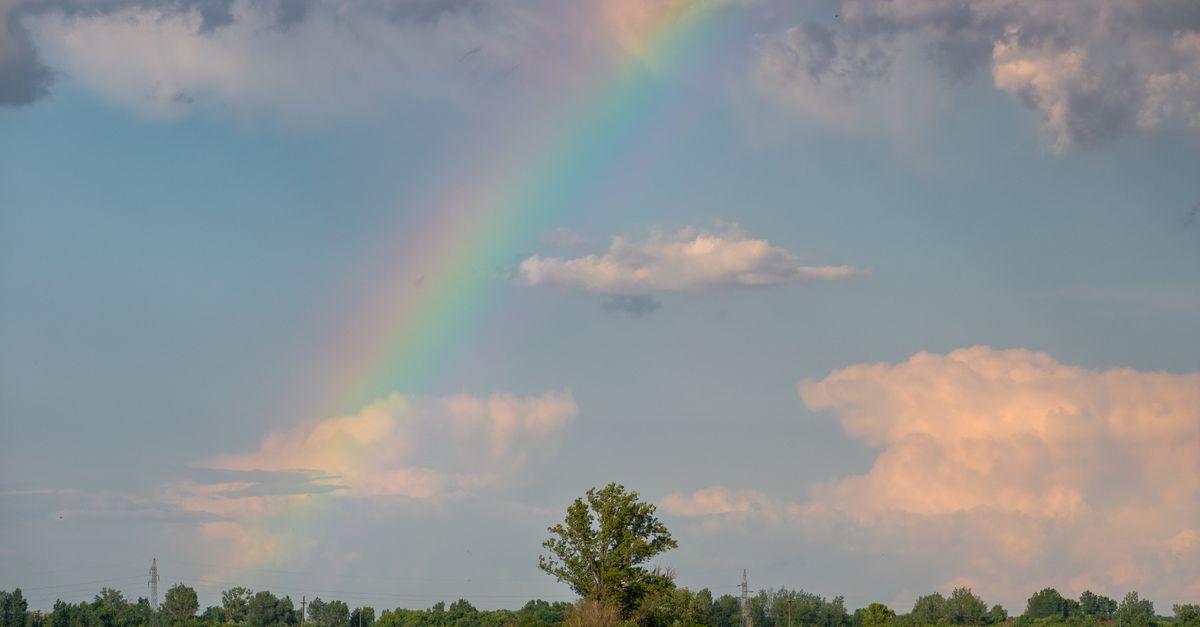 Couleurs Arc-en-Ciel : Guide Déco Complet
