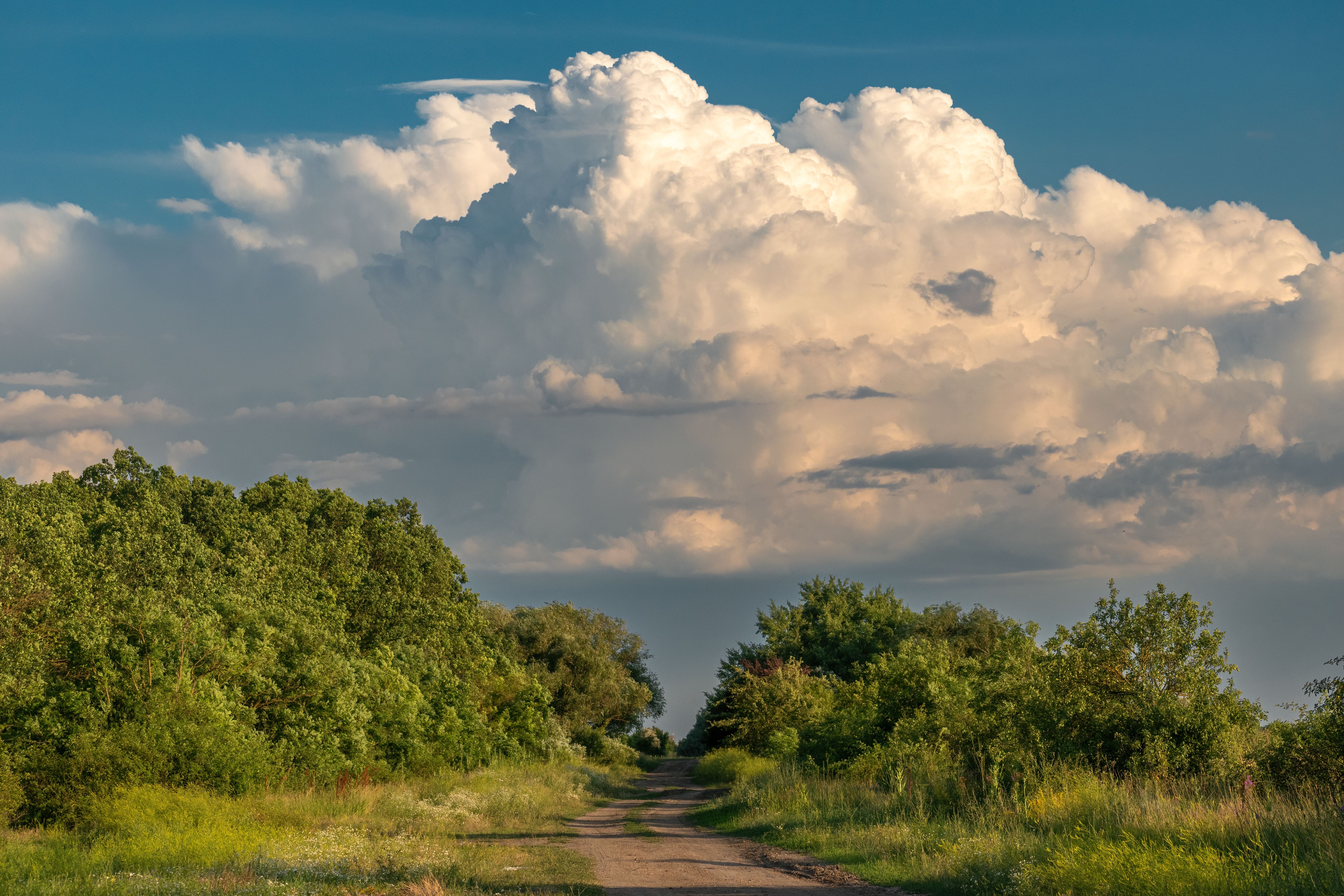 Cloud of Goods Releases Summer Family Travel Readiness Checklist Ahead of Father's Day and July 4th Trips — Photo by Péter Kö