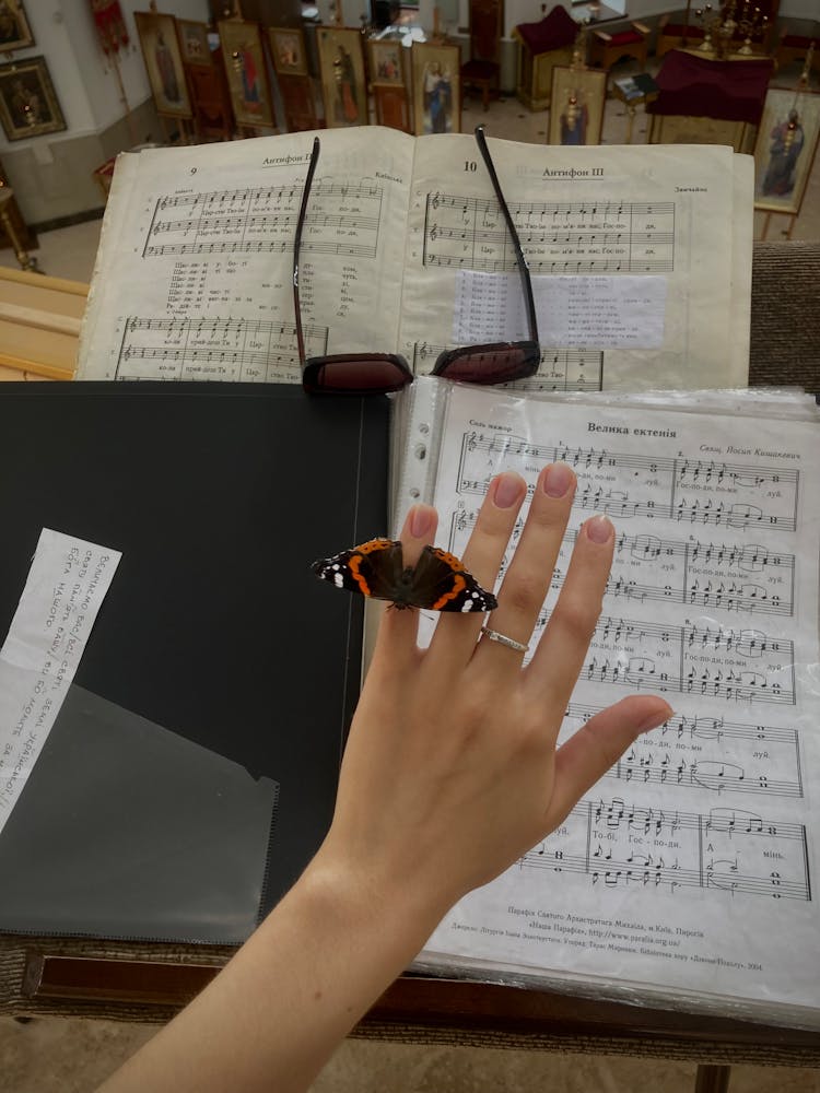 Butterfly On Womans Hand Among Music Notes