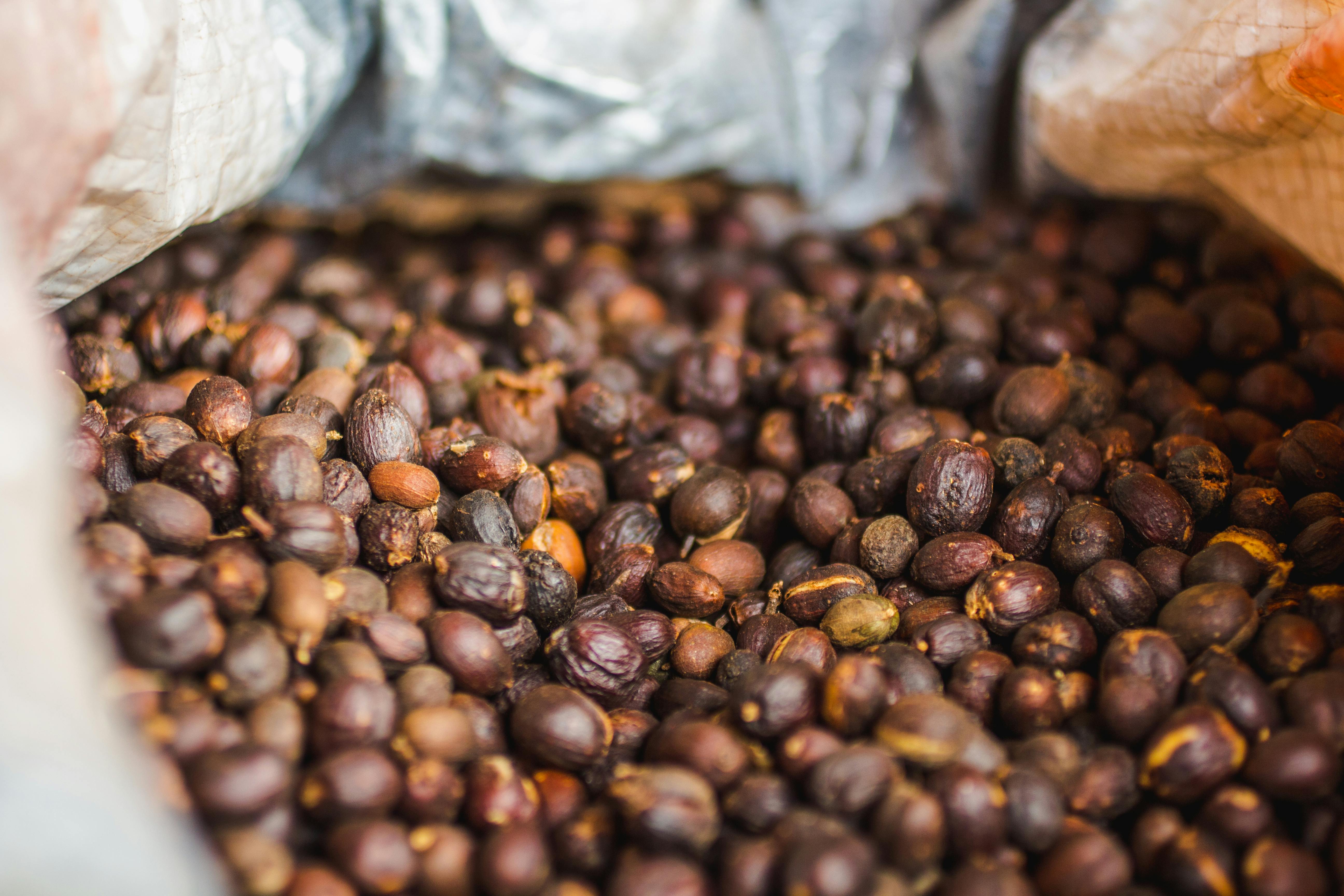 Image of Costa Rican Tarrazu coffee