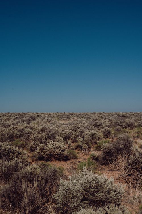 Free Expansive desert terrain beneath a vivid blue sky, capturing the beauty of untouched wilderness. Stock Photo