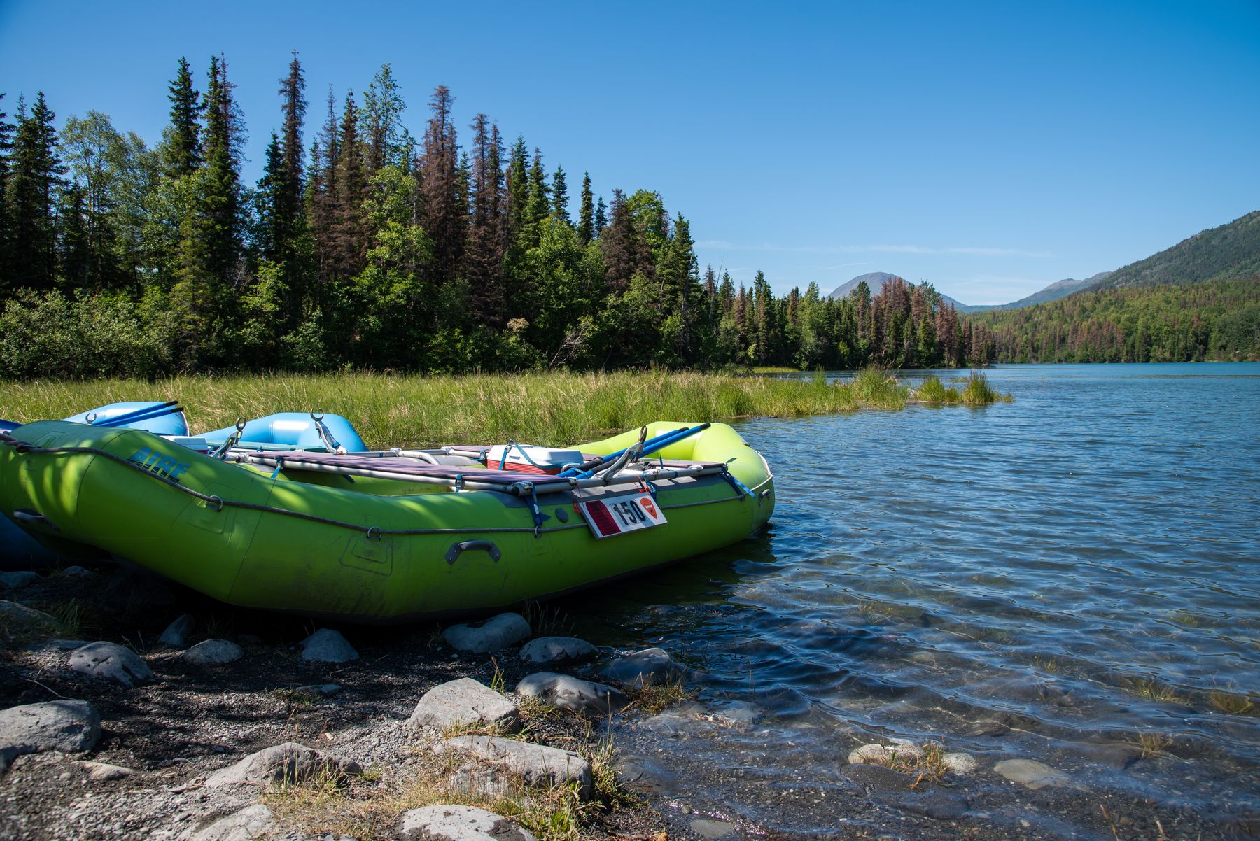 Best Time to Visit Marsh Lake: A Month-by-Month Guide