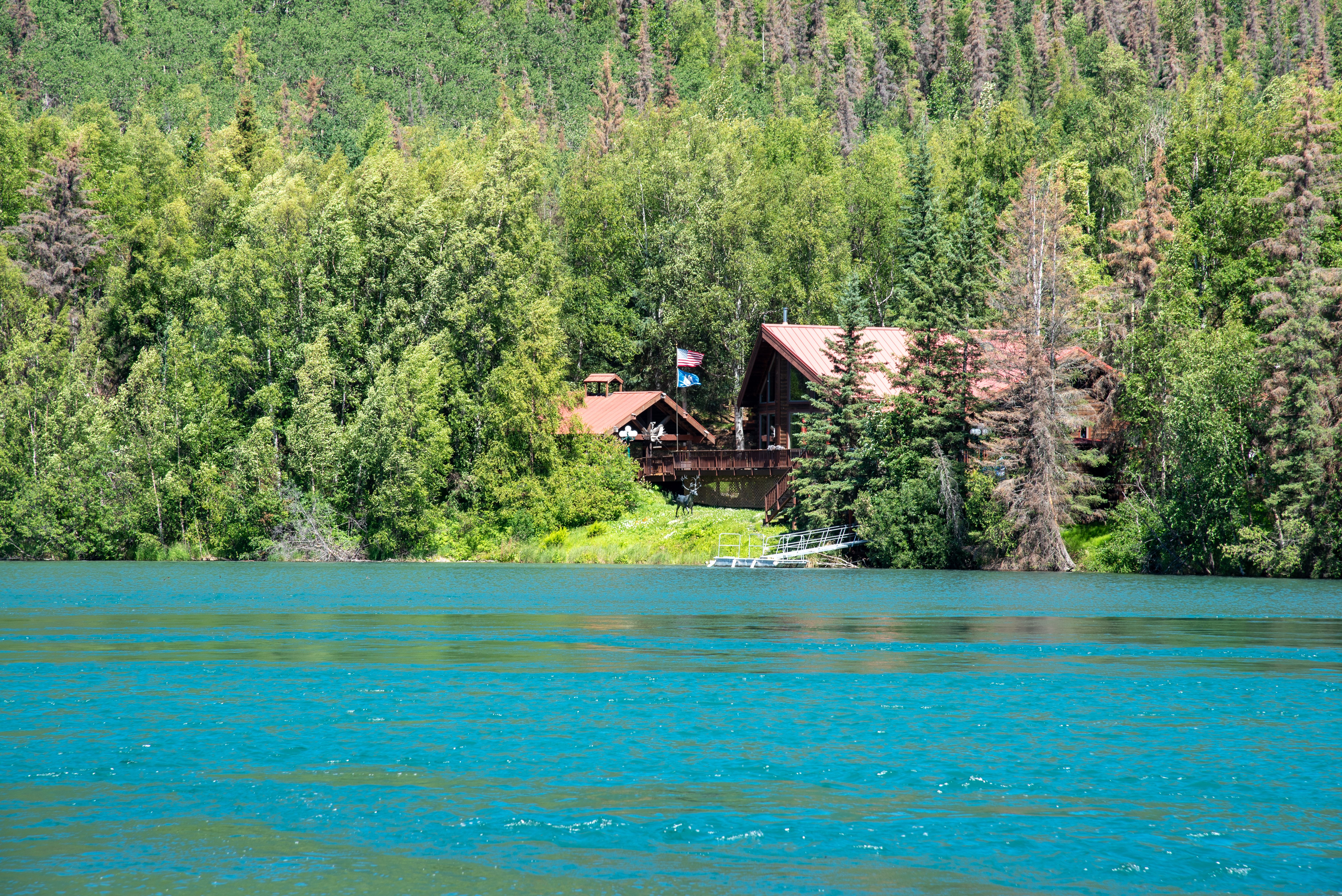 Wooden House near Lake in Green Forest · Free Stock Photo
