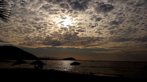 Free pigeon island Stock Photo