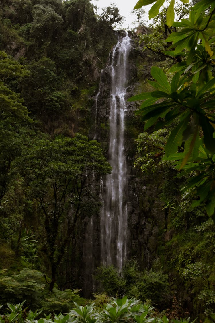 View Of A Waterfall In A Tropical Forest