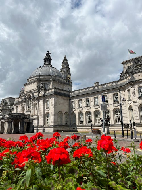 Fotobanka s bezplatnými fotkami na tému budova, cardiff, dekorácia