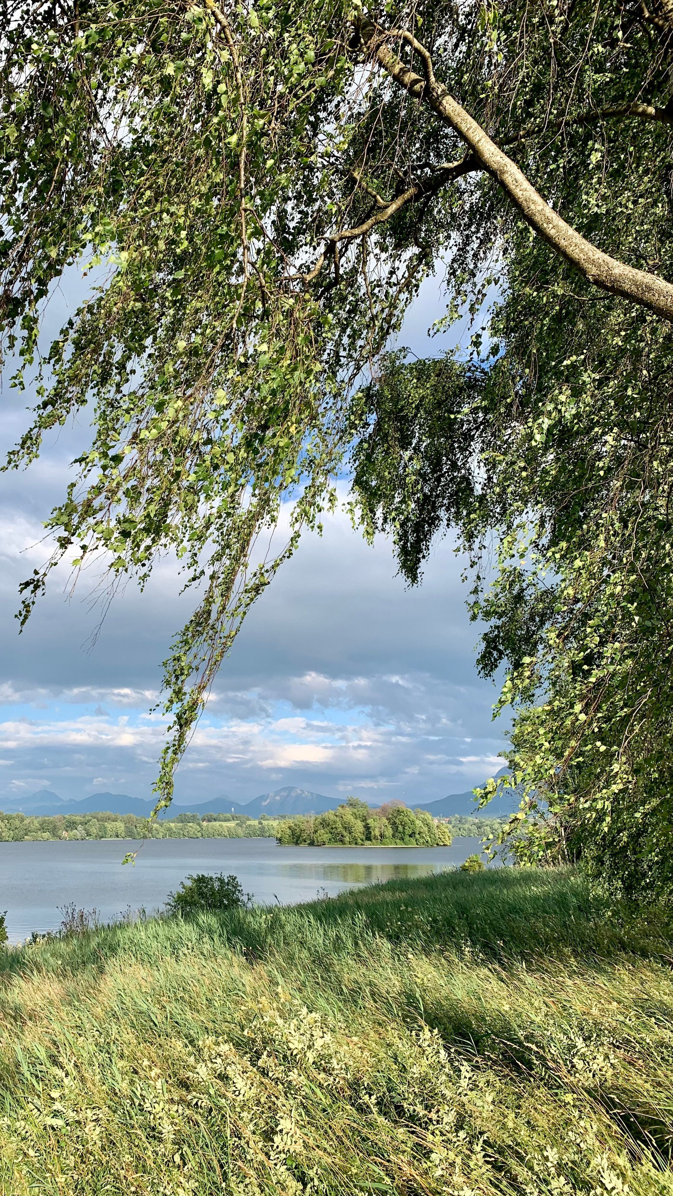Serene view of a lake with trees and grass in Uffing, Germany, under vibrant summer skies.