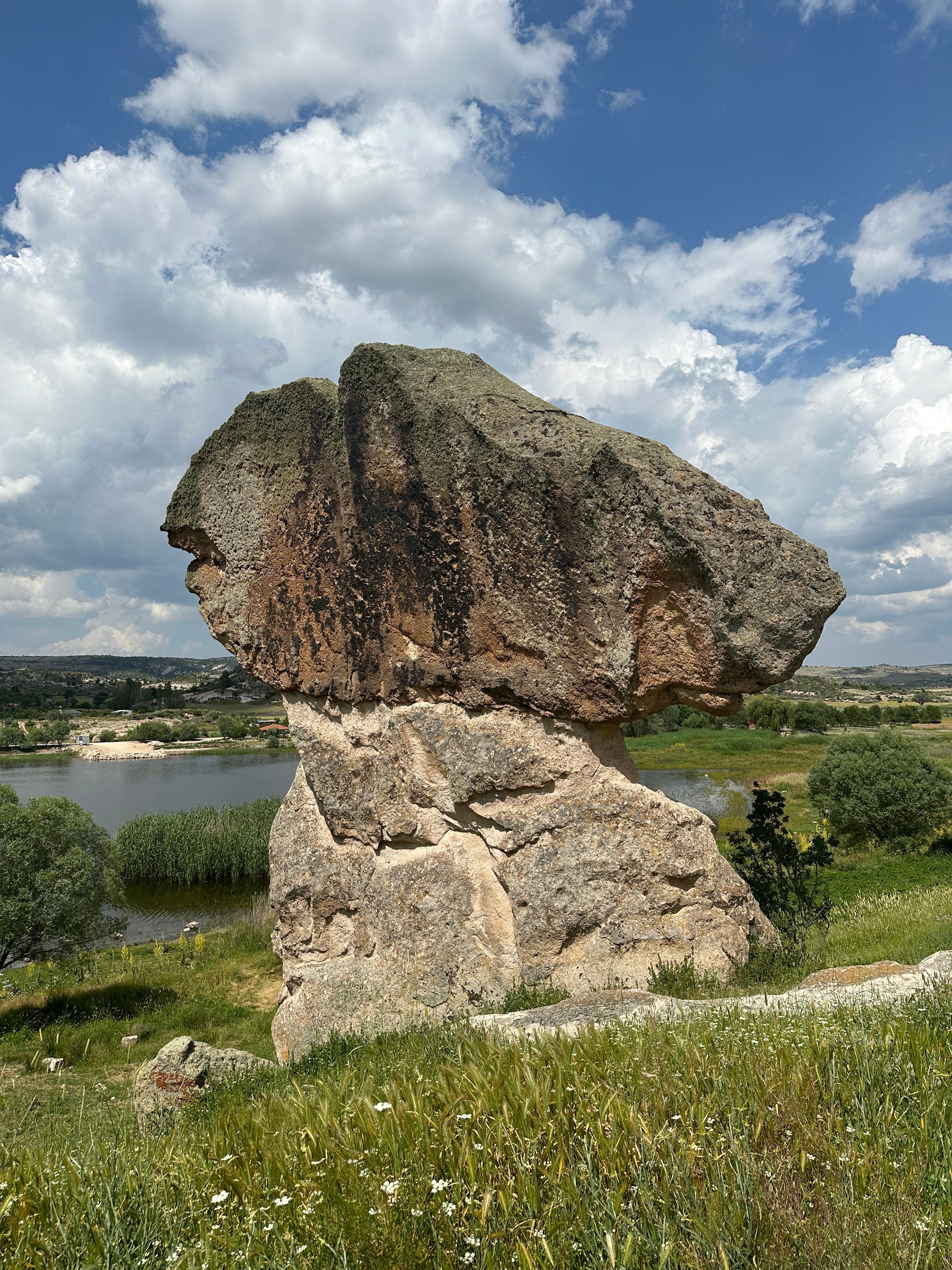 Rocks on a Field · Free Stock Photo