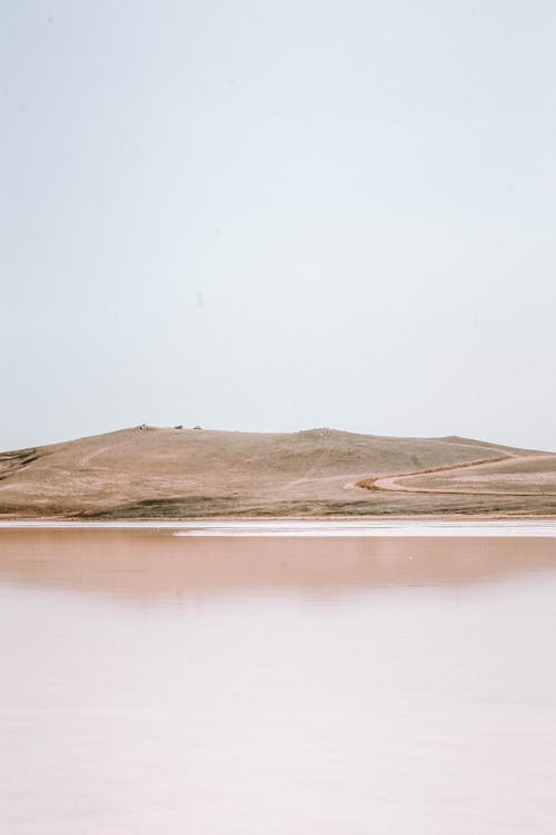 Island by the Lake