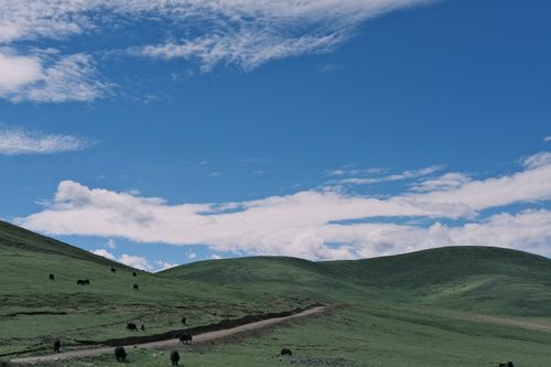 Free Breathtaking view of lush green hills and blue sky, ideal for nature wallpaper. Stock Photo