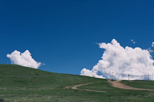 Бесплатное стоковое фото с зеленый, облако, освещенный солнцем