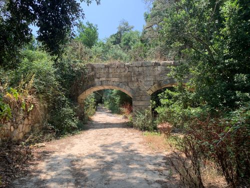 Free Buskett Gardens  Stock Photo