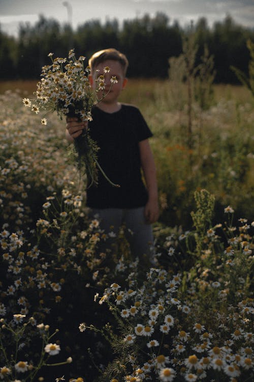 Foto profissional grátis de aguardar, cachos, campo