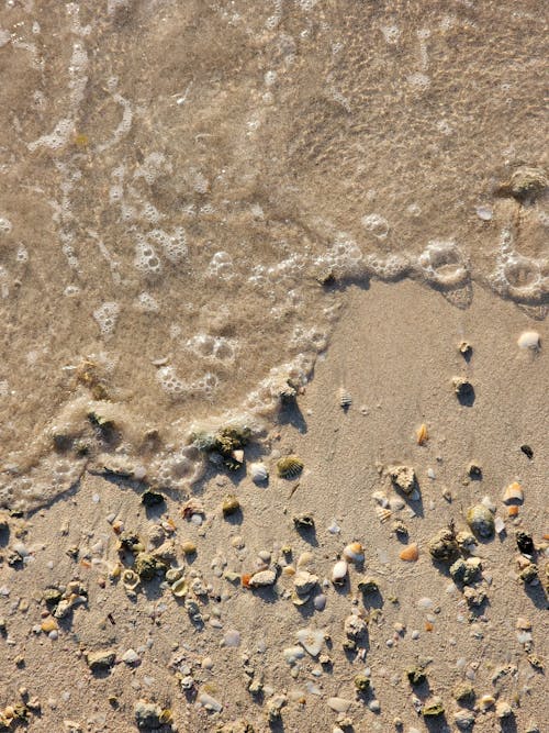 Pebbles on Sea Shore