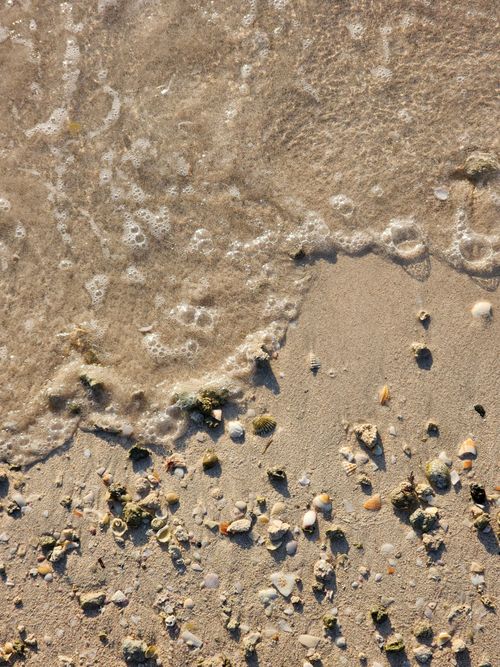 Free Calm waves wash over a sandy beach adorned with pebbles and seashells in a vertical shot. Stock Photo