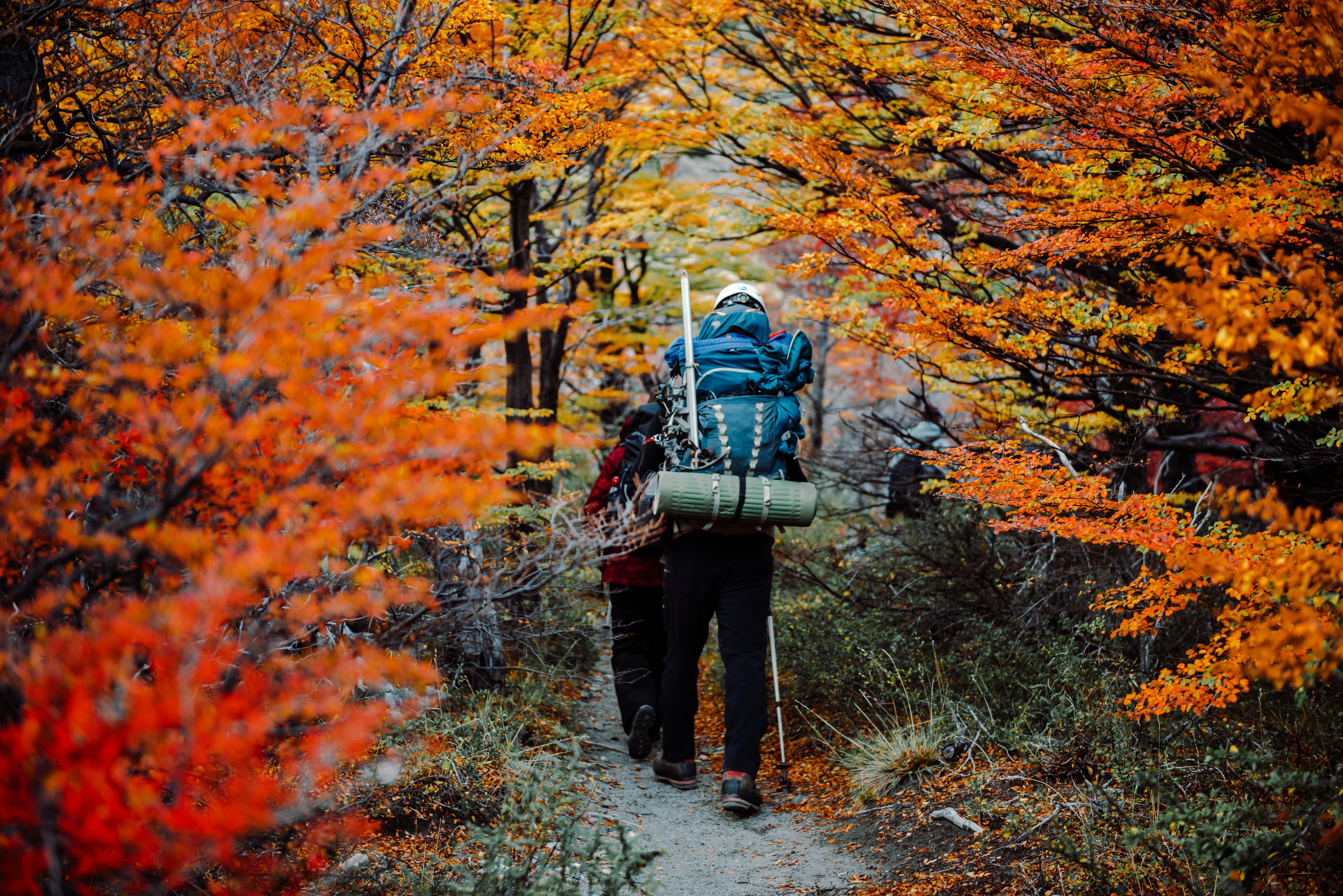 RV and Outdoor Adventure Expo returns to Erie’s bayfront — Photo by Julieta Camila Tosto on Pexels