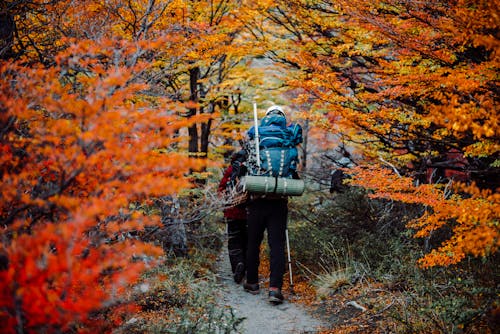 Gratis stockfoto met adnveture in bos, Argentinië, backpack