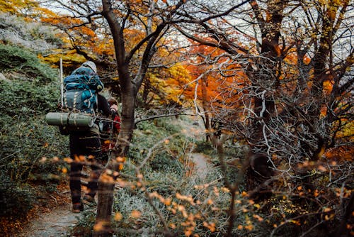 Gratis stockfoto met adnveture in bos, Argentinië, backpack