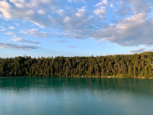 Ilmainen kuvapankkikuva tunnisteilla droonikuva, järvi, luonto