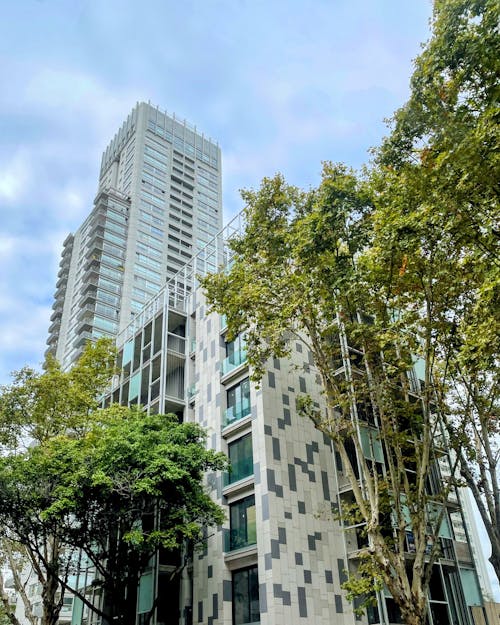 고층 건물, 나무, 도시의 무료 스톡 사진
